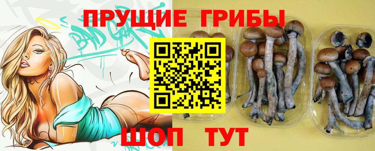 Галлюциногенные грибы Magic Shrooms Торжок